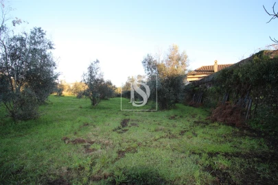 Terreno para Venda em Canas de Santa Maria