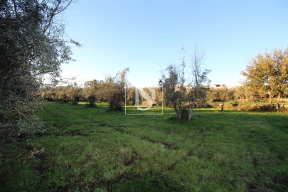 Terreno para Venda em Canas de Santa Maria