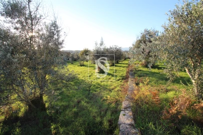 Terreno para Venda em Canas de Santa Maria