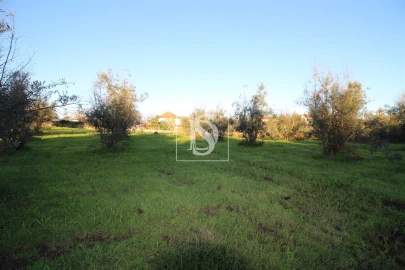 Terreno para Venda em Canas de Santa Maria