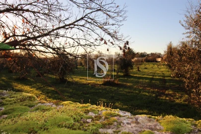 Terreno para Venda em Canas de Santa Maria