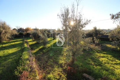 Terreno para Venda em Canas de Santa Maria
