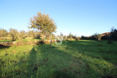 Terreno para Venda em Canas de Santa Maria