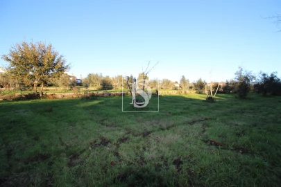 Terreno para Venda em Canas de Santa Maria