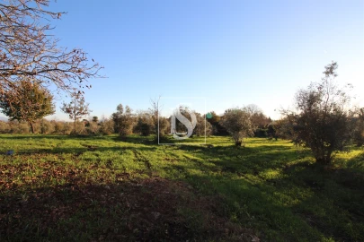 Terreno para Venda em Canas de Santa Maria
