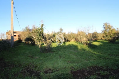 Terreno para Venda em Canas de Santa Maria
