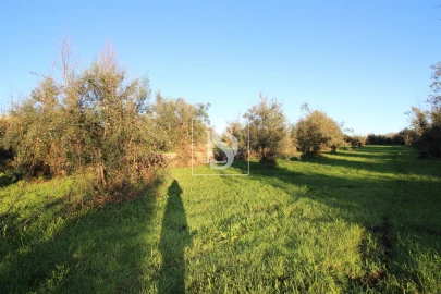 Terreno para Venda em Canas de Santa Maria