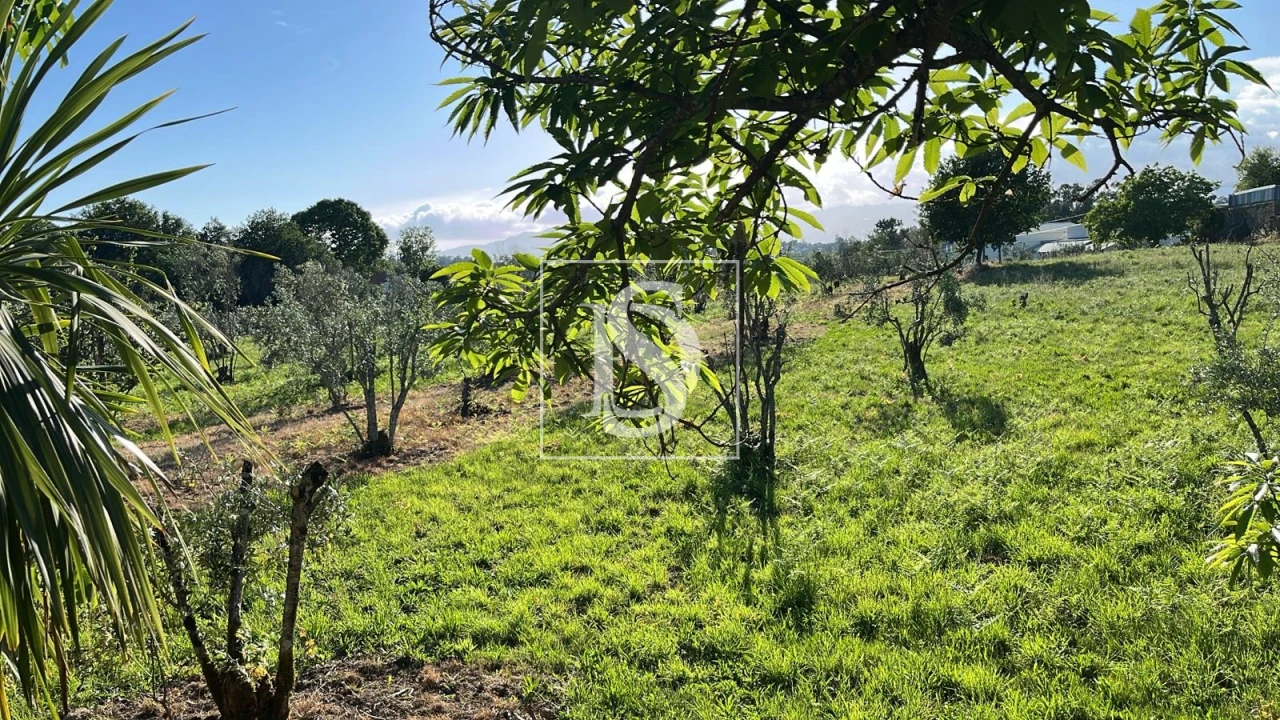 Terreno para Venda em Canas de Santa Maria Foto 3