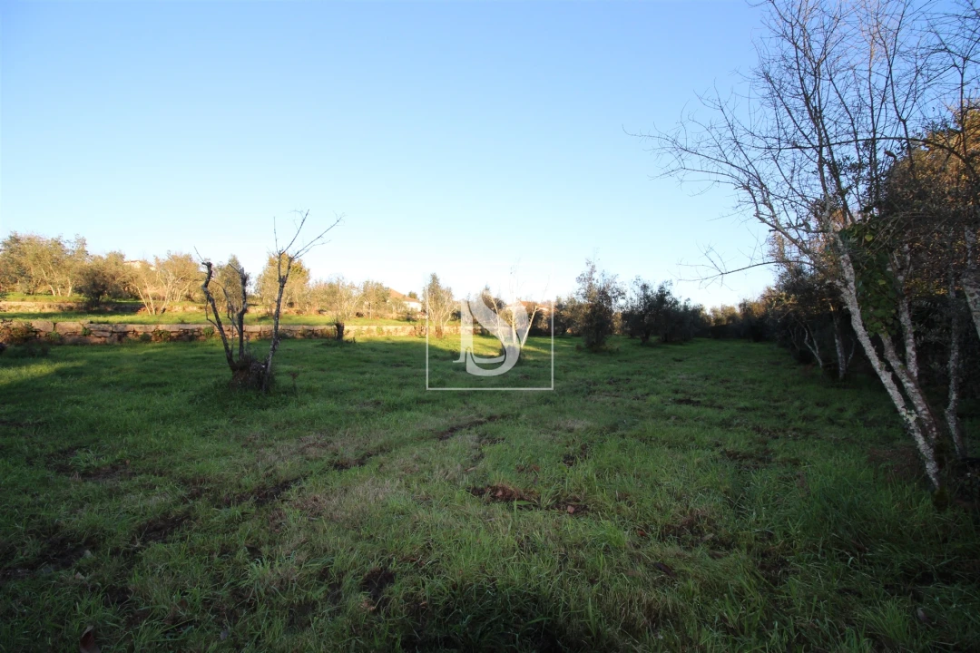 Terreno para Venda em Canas de Santa Maria Foto 18