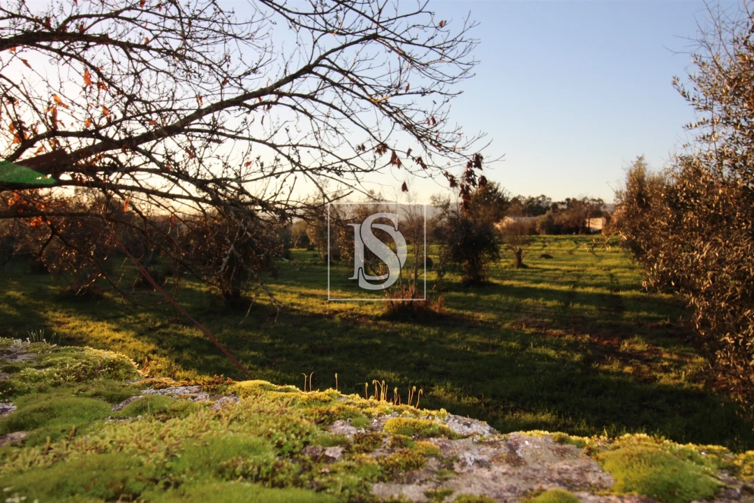Terreno para Venda em Canas de Santa Maria Foto 25