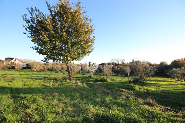 Terreno para Venda em Canas de Santa Maria Foto 24