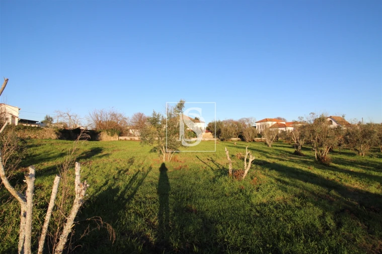 Terreno para Venda em Canas de Santa Maria Foto 8