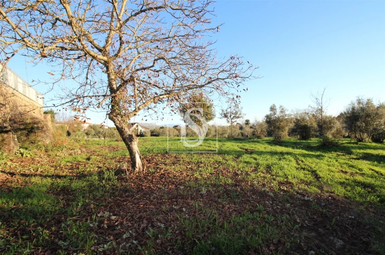 Terreno para Venda em Canas de Santa Maria Foto 11