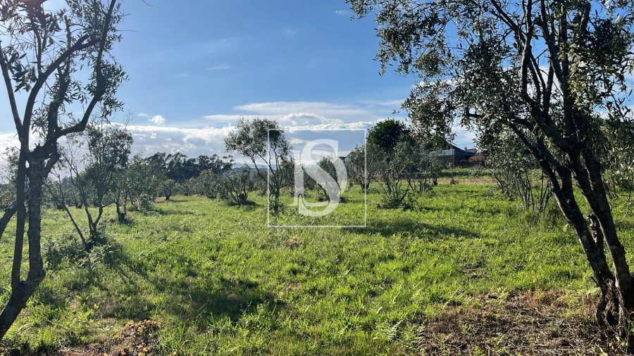 Terreno para Venda em Canas de Santa Maria Foto 6