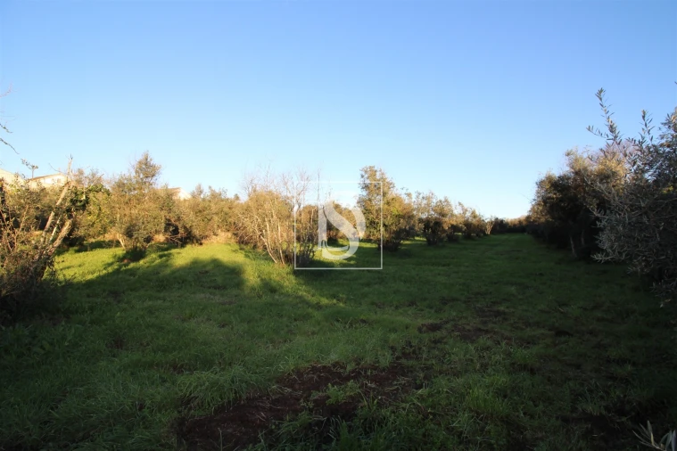 Terreno para Venda em Canas de Santa Maria Foto 14