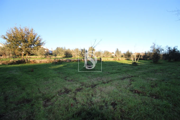 Terreno para Venda em Canas de Santa Maria Foto 20