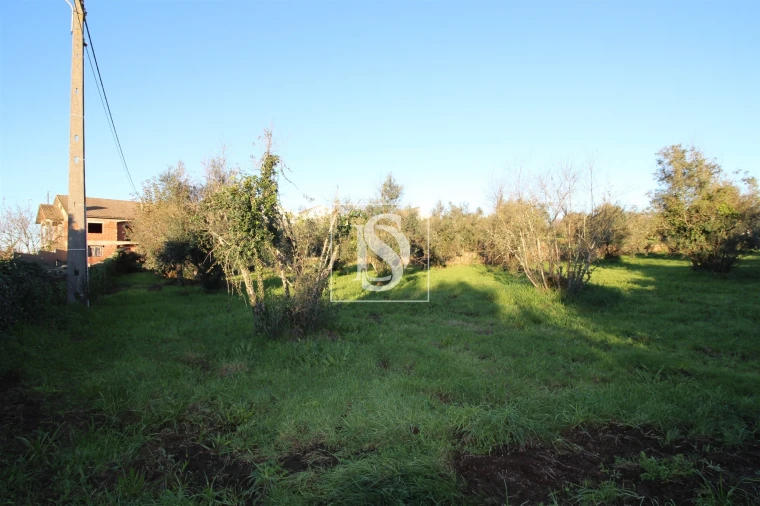 Terreno para Venda em Canas de Santa Maria Foto 15