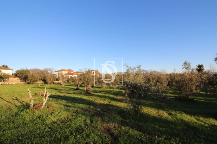 Terreno para Venda em Canas de Santa Maria Foto 7