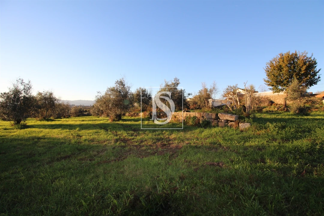 Terreno para Venda em Canas de Santa Maria Foto 23
