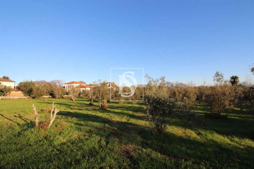 Terreno para Venda em Canas de Santa Maria Foto 7
