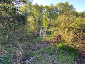 Terreno para Venda em Tonda