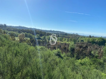 Terreno para Venda em Tonda