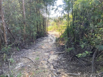 Terreno para Venda em Tonda