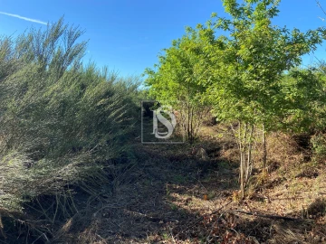 Terreno para Venda em Tonda