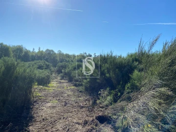 Terreno para Venda em Tonda