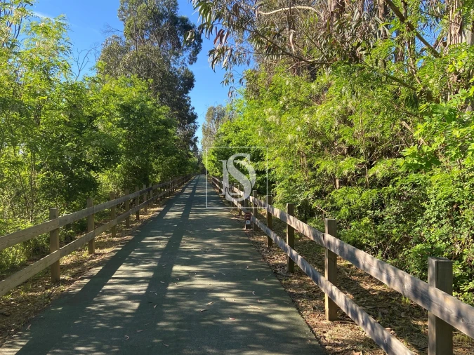 Terreno para Venda em Tonda Foto 9