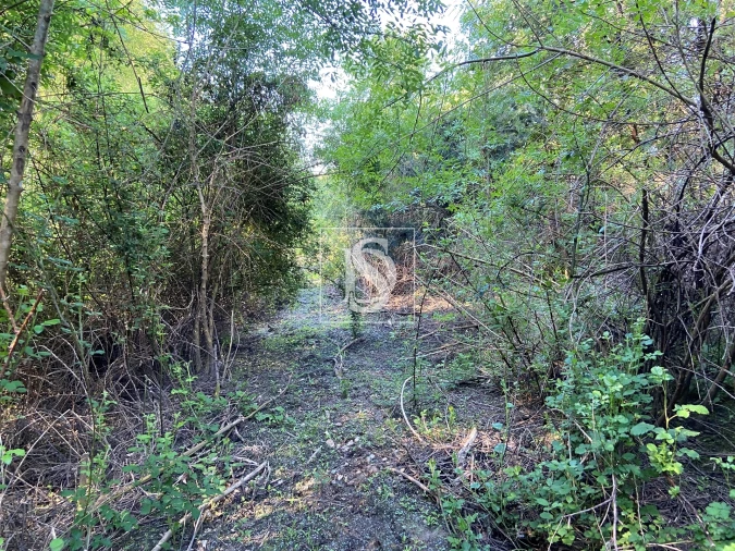 Terreno para Venda em Tonda Foto 8