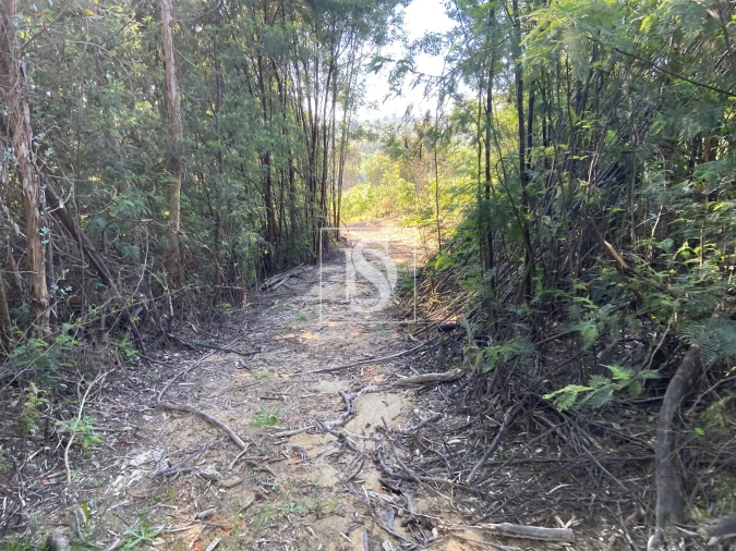 Terreno para Venda em Tonda Foto 4