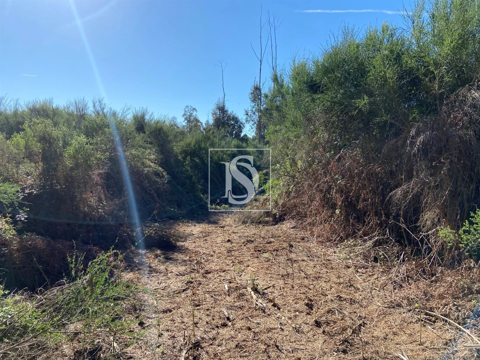 Terreno para Venda em Tonda Foto 5