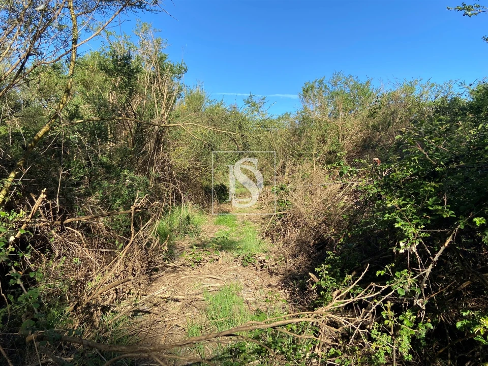 Terreno para Venda em Tonda Foto 13