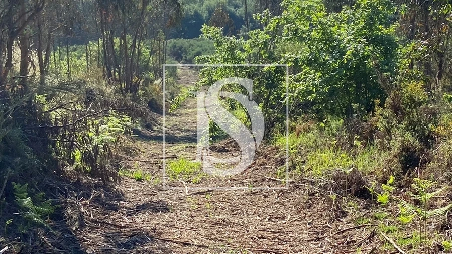Terreno para Venda em Tonda