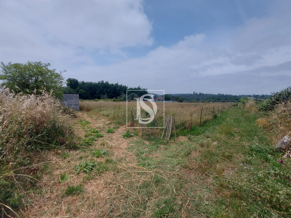 Terreno para Venda em Tonda Foto 2