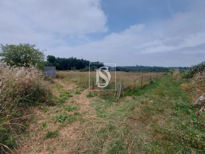 Terreno para Venda em Tonda Foto 2