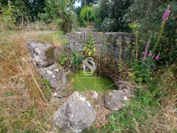 Terreno para Venda em Tonda Foto 4