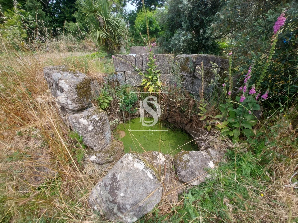 Terreno para Venda em Tonda Foto 4