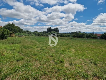 Terreno para Venda em Mouraz e Vila Nova da Rainha