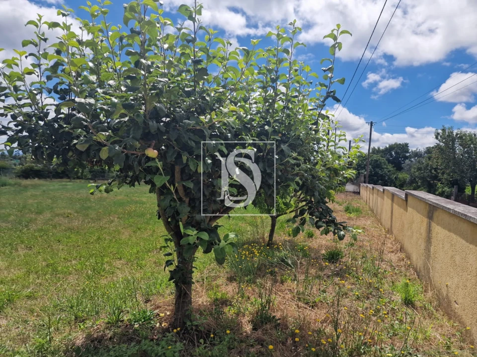 Terreno para Venda em Mouraz e Vila Nova da Rainha Foto 4