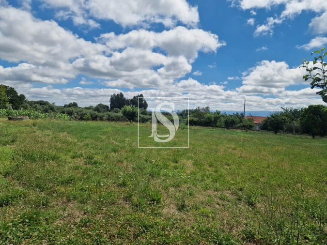 Terreno para Venda em Mouraz e Vila Nova da Rainha