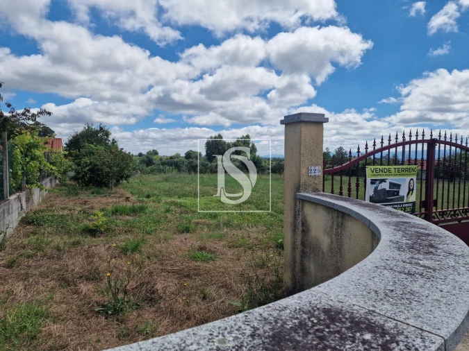 Terreno para Venda em Mouraz e Vila Nova da Rainha Foto 6