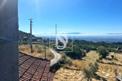 Moradia T3 para Venda em Caparrosa e Silvares