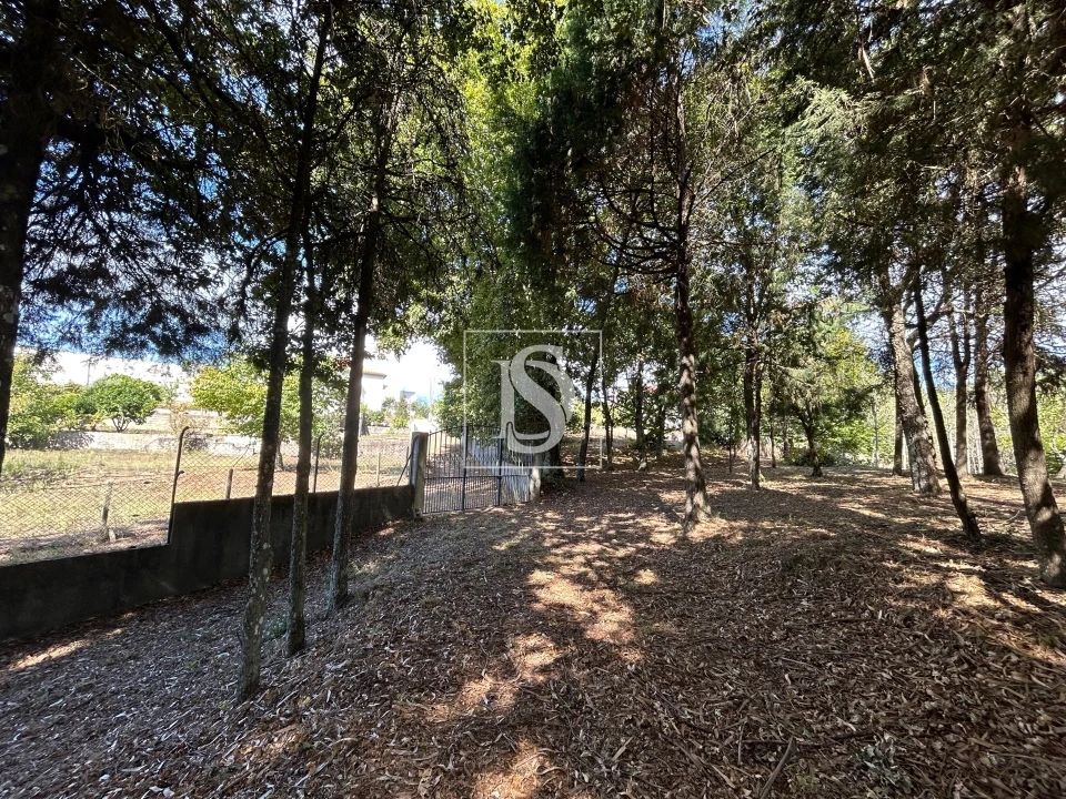 Quinta T6 para Venda em Santa Comba Dão e Couto do Mosteiro Foto 38