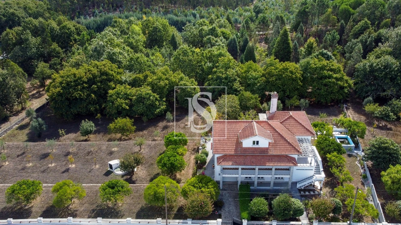 Quinta T6 para Venda em Santa Comba Dão e Couto do Mosteiro Foto 47