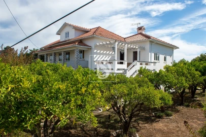 Quinta T6 para Venda em Santa Comba Dão e Couto do Mosteiro
