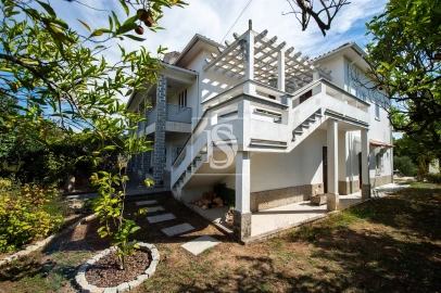 Quinta T6 para Venda em Santa Comba Dão e Couto do Mosteiro