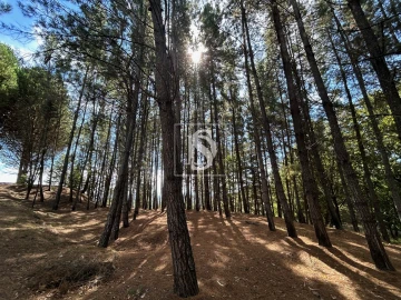 Quinta T6 para Venda em Santa Comba Dão e Couto do Mosteiro