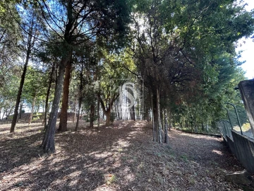 Quinta T6 para Venda em Santa Comba Dão e Couto do Mosteiro